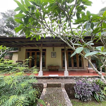 Carik Tangis Boutique Homestay جاتيلويه المظهر الخارجي الصورة