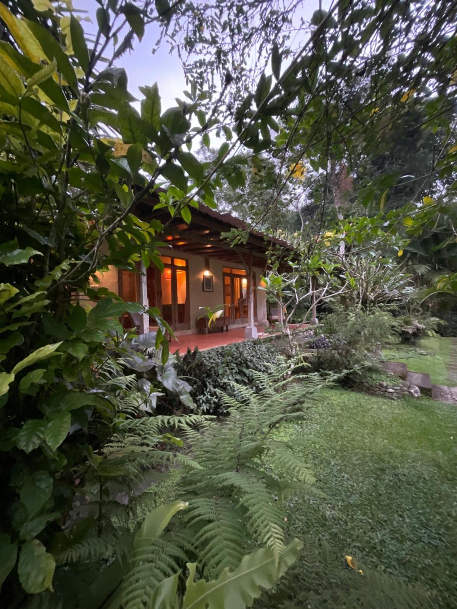 Carik Tangis Boutique Homestay جاتيلويه المظهر الخارجي الصورة