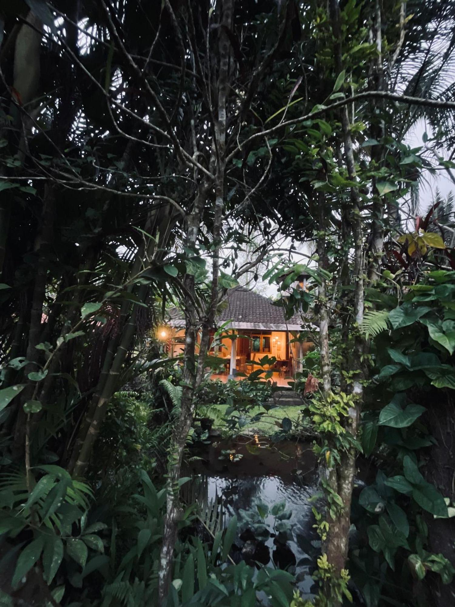 Carik Tangis Boutique Homestay جاتيلويه المظهر الخارجي الصورة